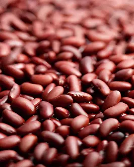Kidney: Kidney bean, Phaseolus vulgaris, A mass of beans