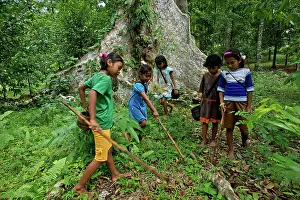 Kids: Kids on island of Ai collecting fallen Nutmeg