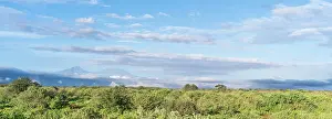 Kilimanjaro: Kilimanjaro seen from Tsavo-West National