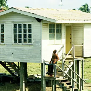 Hives: Killer / Africanized bee swarm on house being viewed by man