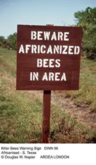 Douglas Napier: KILLER / Africanized BEES - warning sign