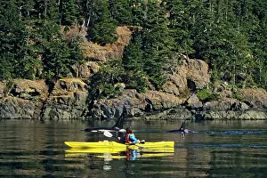 Canoes: Killer / Orca Whale - whale watching