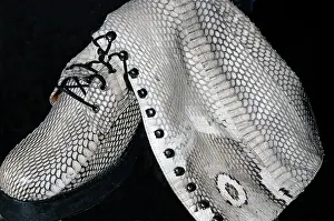 Hannah: King cobra skin made into a fashionable boot -