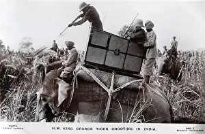 George: King George 5th tiger shooting in India, old postcard