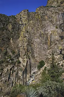 1998: Kings Canyon National Park