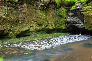 Swirling: Kirnitzsch Kirnitzsch Stream Elbe Sandstone Mountains