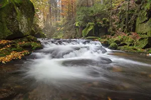 Saxon: Kirnitzsch Kirnitzsch Stream Elbe Sandstone Mountains