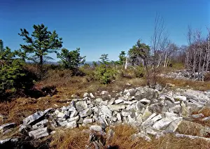 Ridges: Kittatinny Ridge