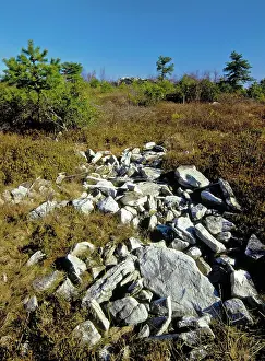 Ridges: Kittatinny Ridge