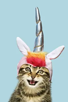 Unicorn: Kitten - with mouth open, wearing unicorn horn hat