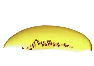 Kiwi: Kiwi