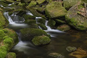 Place: Kleine Ohe creek below Waldhaeuser village in the Bavarian Forest Nationalpark