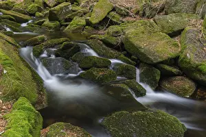 Place: Kleine Ohe creek below Waldhaeuser village in the Bavarian Forest Nationalpark