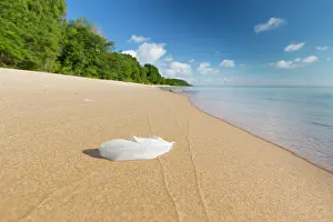 Baltic: Knaebaeckshusen beach