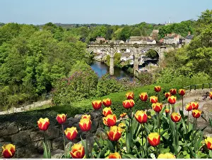 200617: Knaresborough Viaduct in Spring