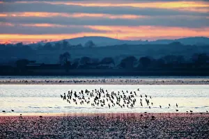 Lough: Knot in flight