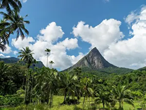 Lankan: Knuckles mountain range with Lakegala mountain and