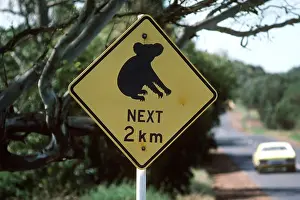 Signs: KOALA ROAD SIGN