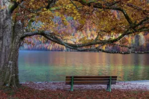 Koenigssee: Koenigssee autumn Bench autumn colours K&, xf6;nigss