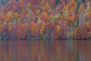 Koenigssee: Koenigssee autumn K&, xf6;nigssee / Kings lake autum