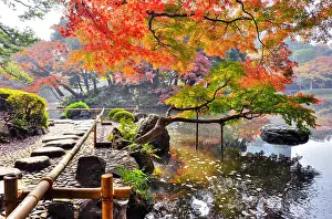 Acer: Koishikawa japanese garden in autumn in Tokyo, Japan