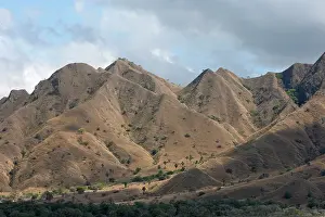 Sland: Komodo Island - Indonesia