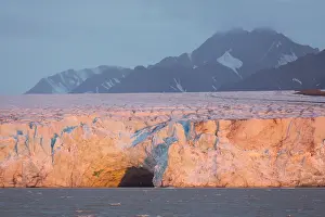 Kongsfjord: Kongsbreen glacier in evening light at Kongsfjord