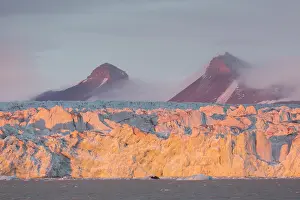 Kongsfjord: Kongsbreen glacier in evening light at Kongsfjord