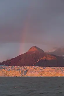 Kongsfjord: Kongsbreen glacier in evening light at Kongsfjord
