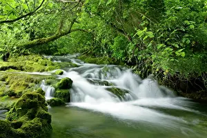 Sinter: Krka river - water flowing through forest over