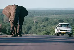 Encroachment: Kruger National Park, SOUTH AFRICA