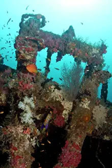 Wrecks: Kuda Giri Wreck