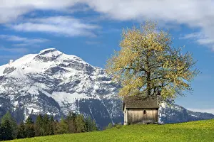 Chapel: Kupfererkapelle in spring, Gallzein, Tyrol, Austria