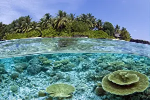 Landform: Kuramathi Island, Maldives, Indian Ocean