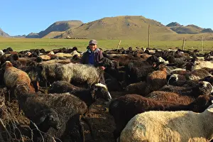Peoples: Kyrgyz boy and sheep - Kyrgyzstan