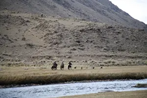 Vale: Kyrgyz ibex hunters with dogs Kyrgyzstan