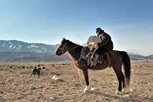Wounded: Kyrgyz shepherd on horseback with wounded sheep on his lap