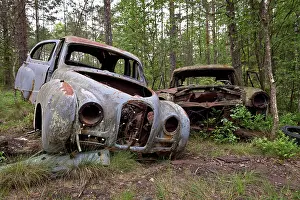 Dump: Kyrk&, xf6; Mosse junkyard, Ryd, Tingsryd, Kronoberg