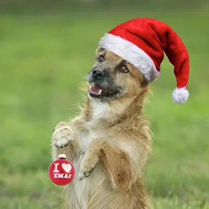Baubles: LA