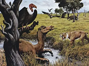Brea: La Brea Tar Pit Scene