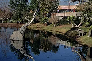 Brea: La Brea Tar Pits