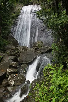 Latino: La Coca Falls, El Yunque Rainforest, East