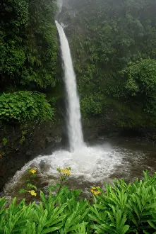 Blanca: La Paz Waterfall, Costa Rica