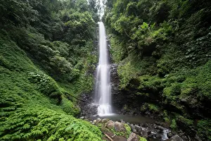Jungles: Laang Melanting, Waterfall in jungle, Munduk, Bali