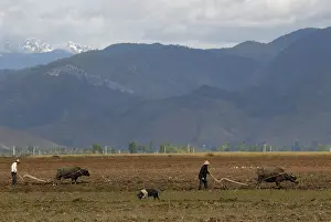 Labor: Labor in the countryside near Lugu Lake in Yunnan