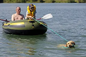 Ropes: Labrador bringing back inflatable boat to shore France
