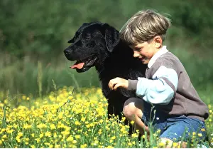Owner: LABRADOR DOG and boy