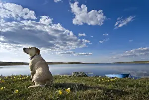 Ships: Labrador at Lake St Andeol Aubrac Lozere France