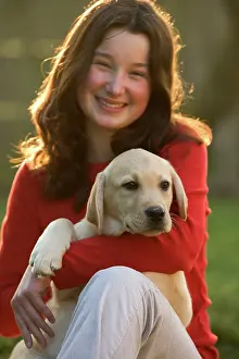 Cuddled: Labrador - puppy being cuddled by your girl