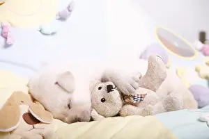 Sleepiness: Labrador puppy sleeping with a teddy bear France